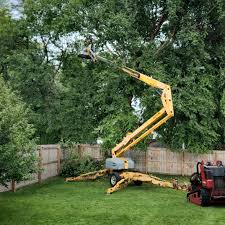 Best Hazardous Tree Removal  in Oswego, NY